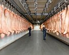 20 крупнейших предприятий выпускают 48% свинины в стране