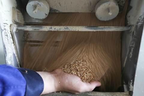 Структура ГК «Рост» вложит около 40 млрд рублей в глубокую переработку зерна