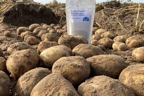 Кальциево-магниевое питание и раскисление почв как залог высокого урожая маржинальных культур