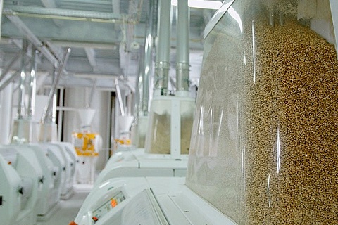 Сбер профинансирует строительство завода по глубокой переработке зерна