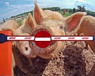 Россия может прекратить поставки продукции украинского животноводства