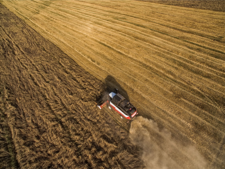 Удержать позиции. Россия сохранит свое место на мировом рынке пшеницы, но доходность аграриев вряд ли вырастет