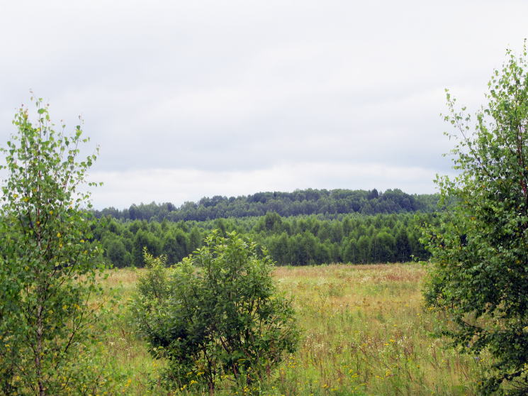 Баланс или потенциал? Новые возможности повышения экономической отдачи от залежей
