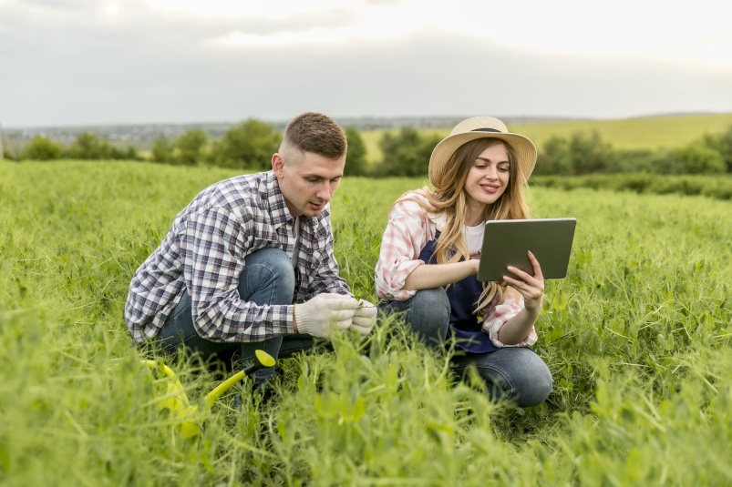 7 эффективных агротехнологических приемов для преобразования сельскохозяйственного бизнеса и повышения продаж
