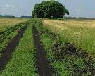 Фермеры Хабаровского края получат землю бесплатно