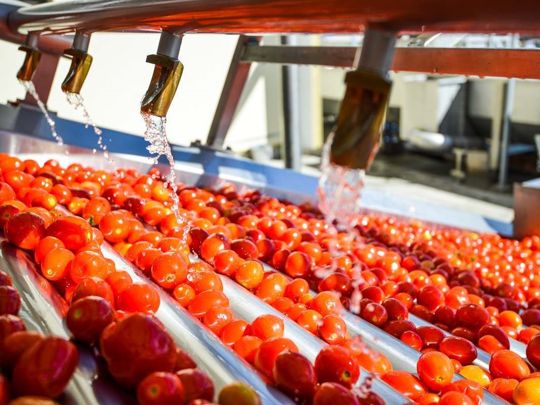 Завод по производству томатной пасты в Астрахани будет запущен в этом году