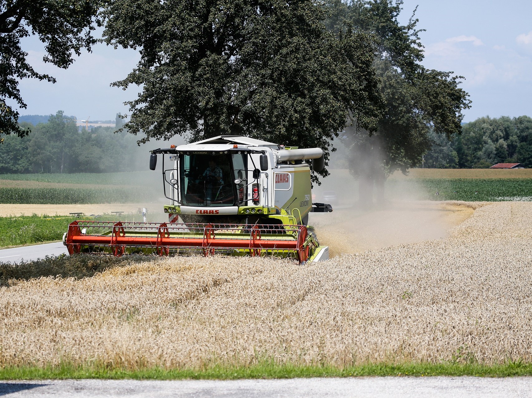 Темп уборки зерновых значительно выше прошлогоднего