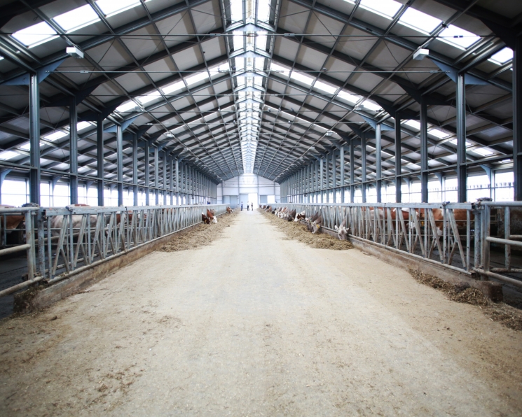 «ЭкоНива» планирует на год приостановить инвестиции в строительство новых ферм
