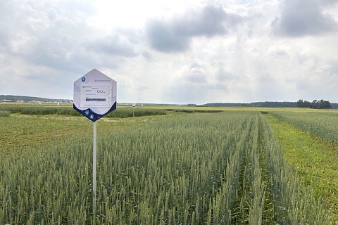 «Еврохим» поможет аграриям юга страны решить проблему засоленных почв