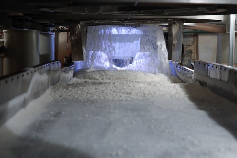 В России выпущен первый сахар из свеклы нового урожая