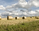 Большинство хозяйств Самарской обл. заготовили сено на 100%