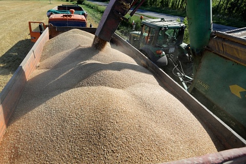 Рекордные цены на зерно еще впереди