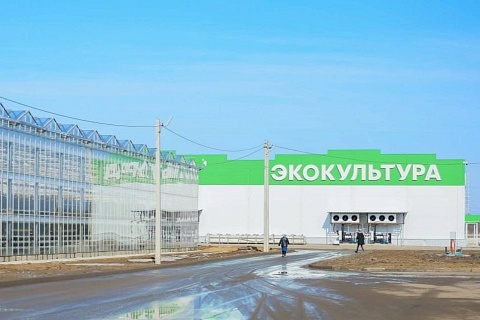 «Эко-культура» построит селекционно-семеноводческий центр в Подмосковье