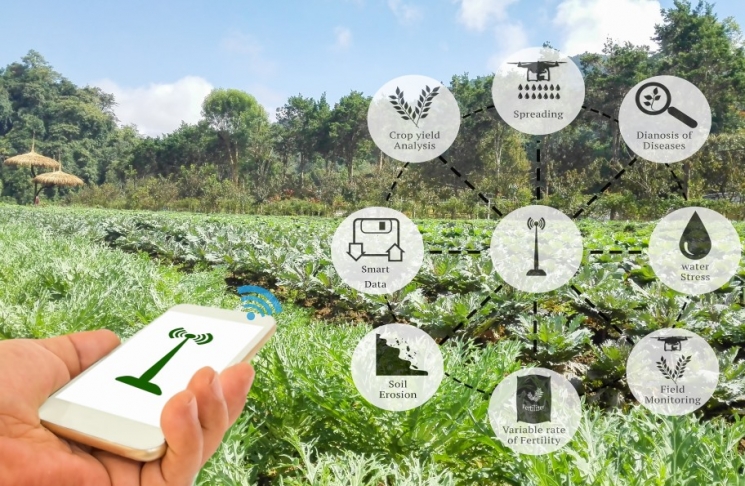 От аудиторий до полевых работ: Университет продвигает устойчивое сельское хозяйство