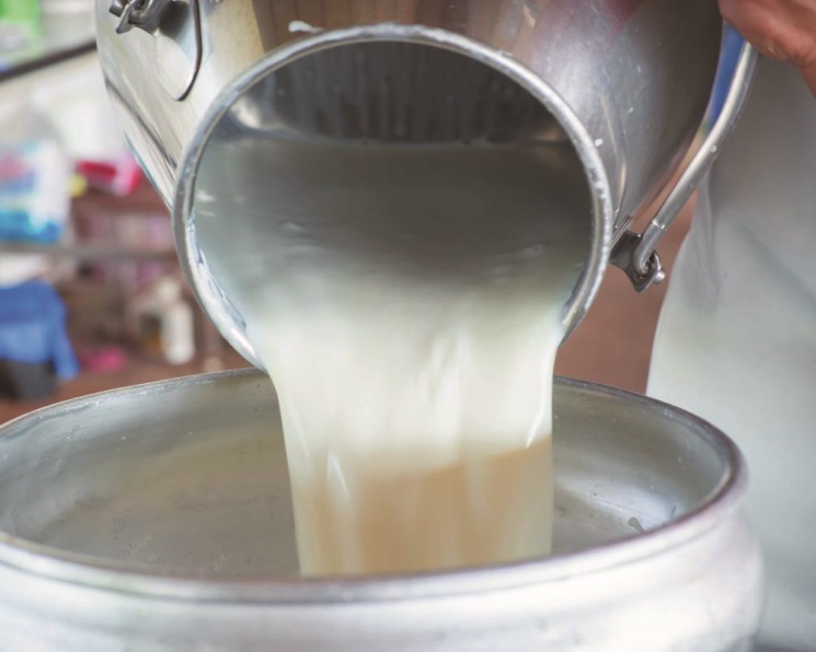 Репортаж с молочного комбината: Как делают кефир, йогурт и другие молочные продукты