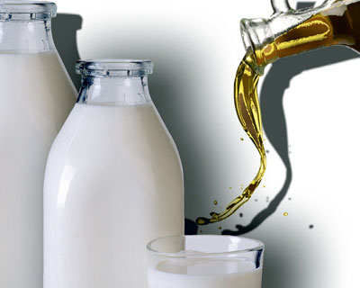 Чем полезны молочные продукты?