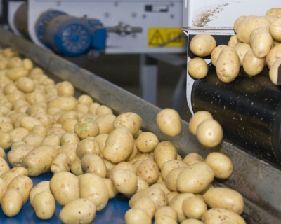 Как сделать картофелесажалку для минитрактора своими руками