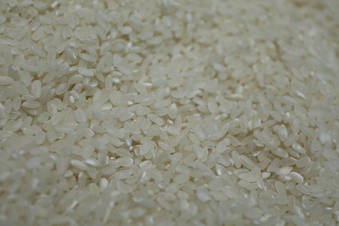 Правительство продлило временный запрет на экспорт риса