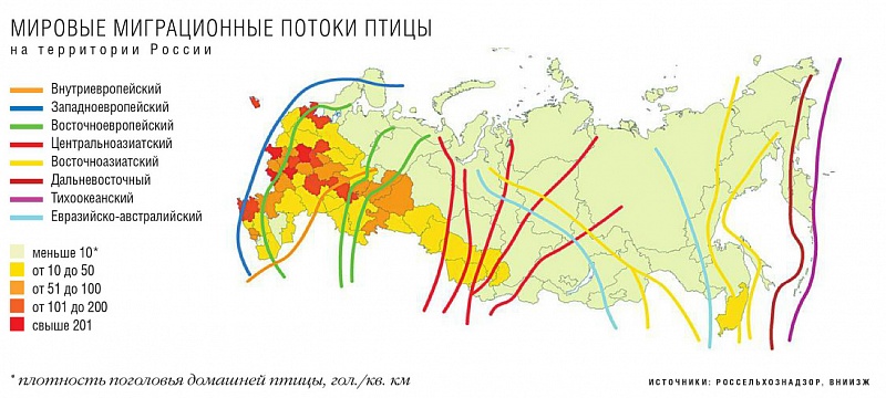 Карта птичьего гриппа в россии