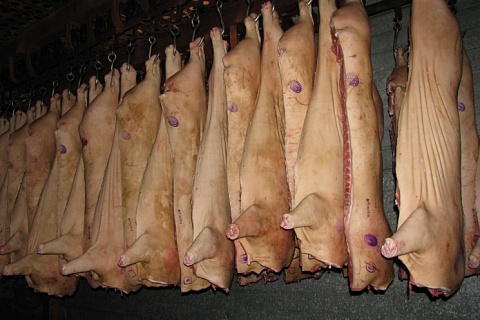 Оптовая стоимость свинины снижается