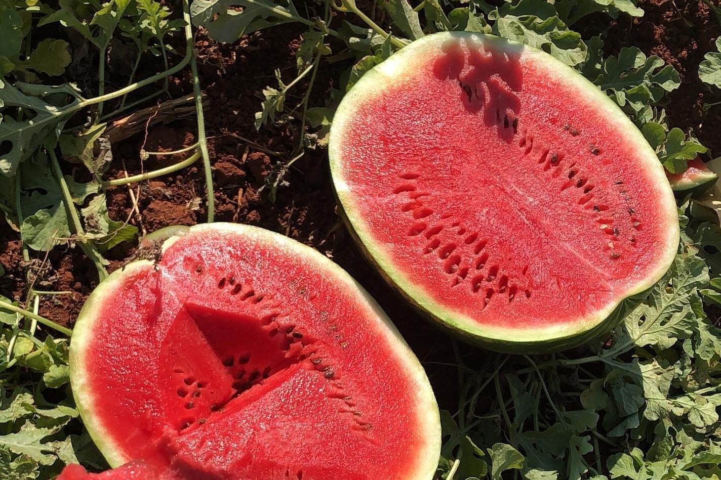 Screenshot_20191003-161716_Instagram.jpg Screenshot_20191003-161716_Instagram.jpg