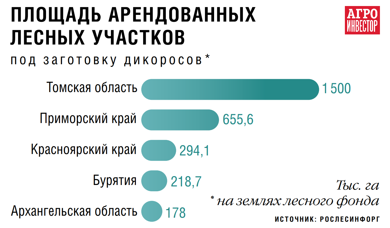 Кто соберет дары леса. Развитию рынка дикоросов могут способствовать новые  меры господдержки, но не помешало бы и изменение законодательства — Журнал  «Агроинвестор» – Агроинвестор