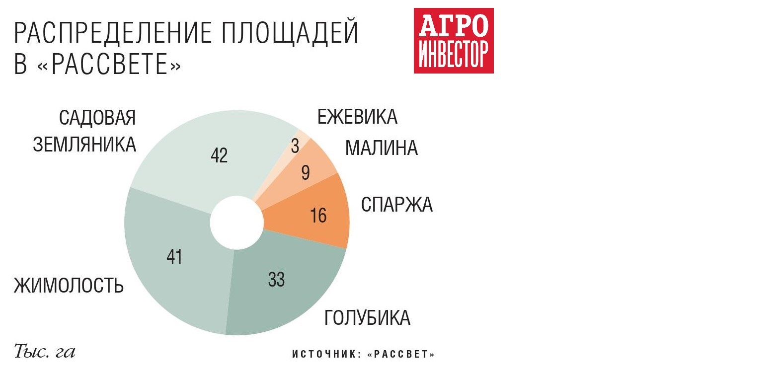 Ягода из Сергача. «Рассвет» инвестировал 0,6 млрд руб. в ягодный проект —  Журнал «Агроинвестор» – Агроинвестор