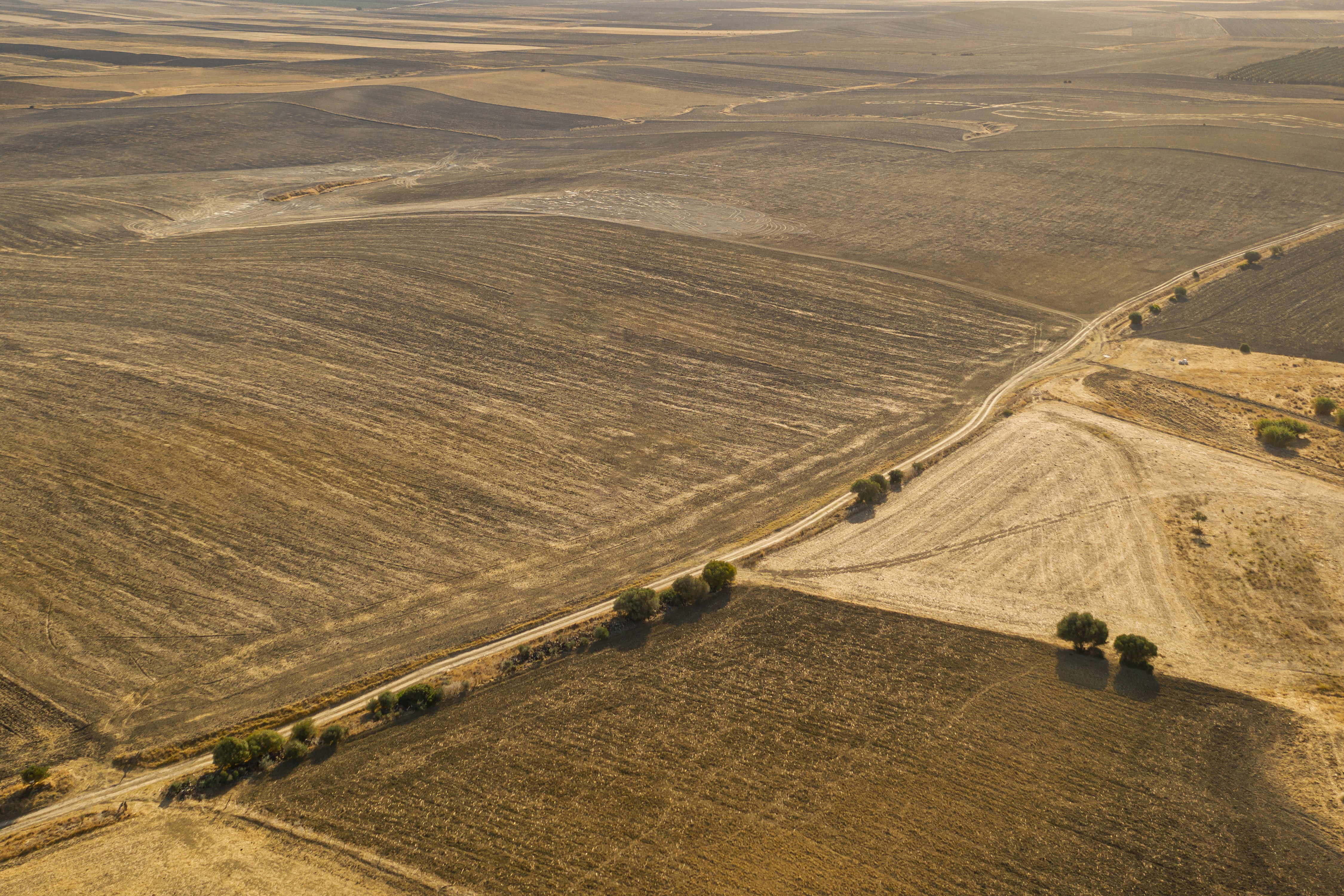 high-view-variety-of-autumn-plain-taken-by-drone.jpg