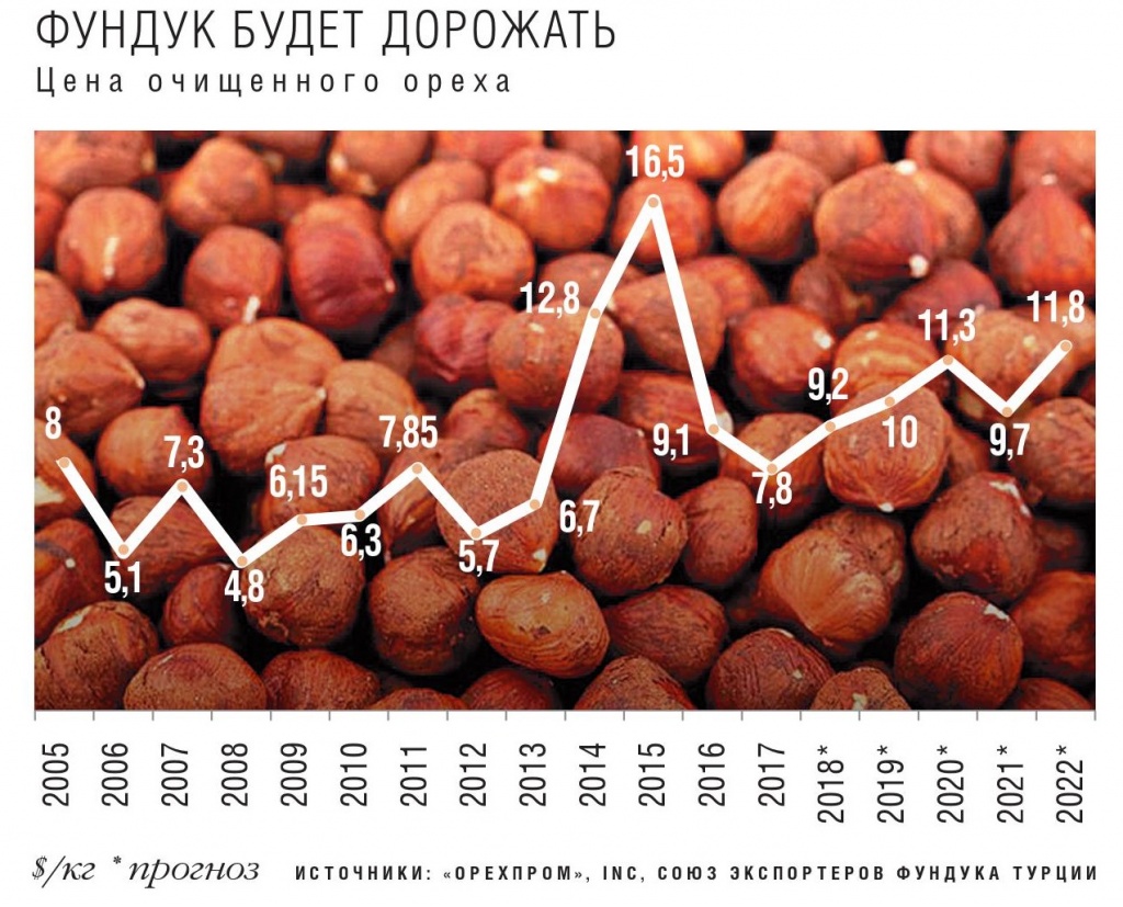 Фундук: посадка и уход