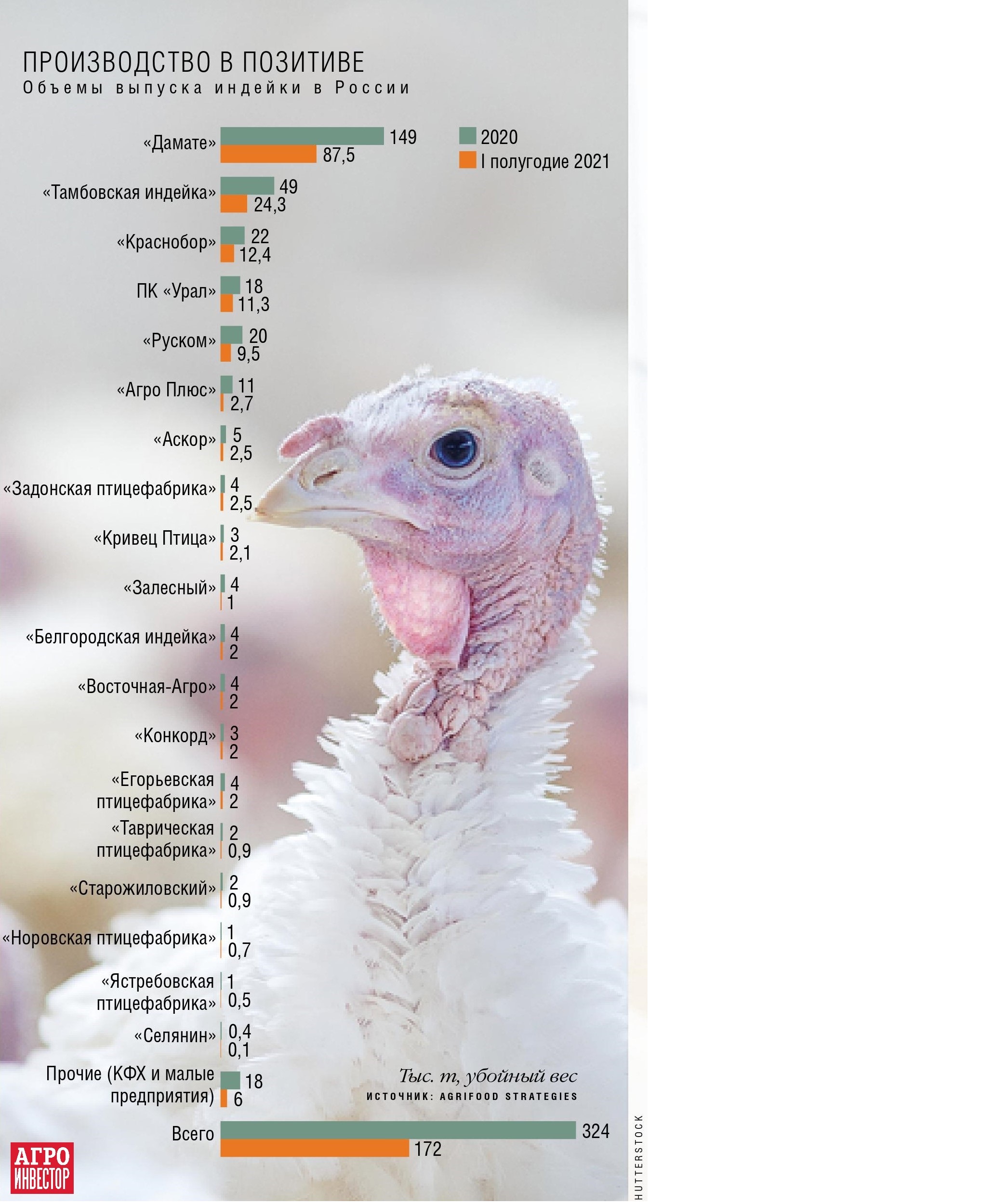 Российская индейка набирает вес. Производство мяса этого вида растет  рекордными темпами — Журнал «Агроинвестор» – Агроинвестор