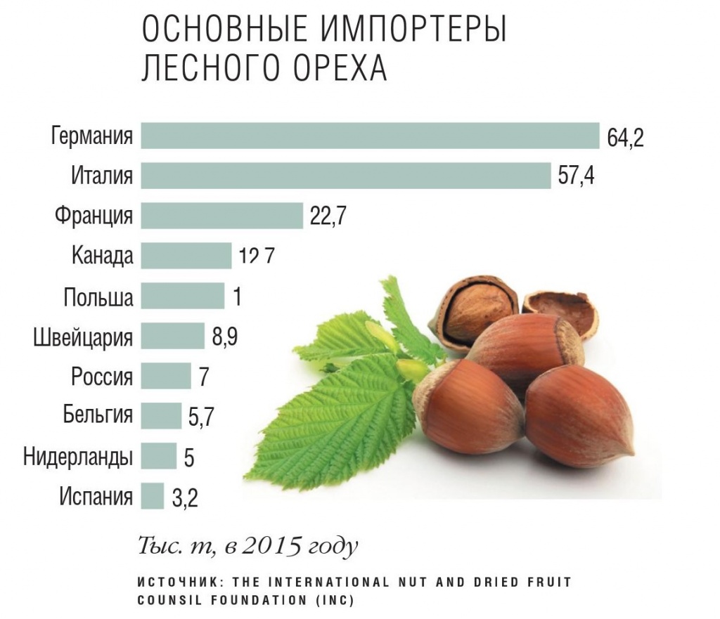 Дайте инвесторам на орехи. Развитие высокорентабельного бизнеса сдерживает  низкий уровень господдержки — Журнал «Агроинвестор» – Агроинвестор