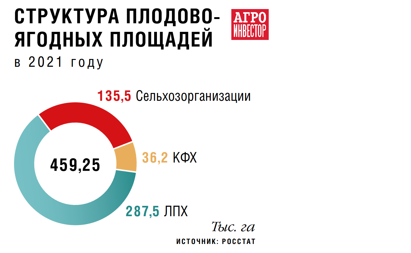 Сад с продолжением. Ежегодно садоводам требуется 24 млн саженцев плодово- ягодных культур — Журнал «Агроинвестор» – Агроинвестор