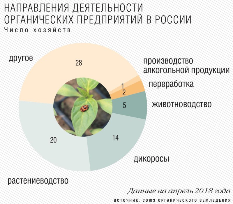 Производство органики. Мировой рынок органической продукции. Рынок органической продукции в России. Органическая продукция в России. Органическая продукция законодательство.