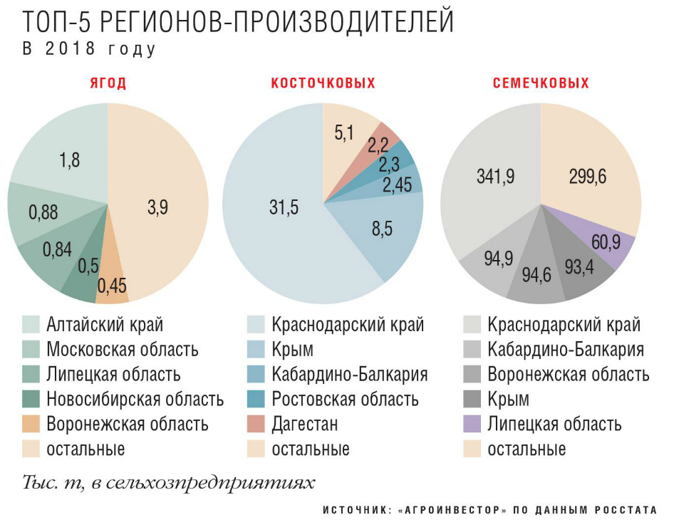 Регион производитель