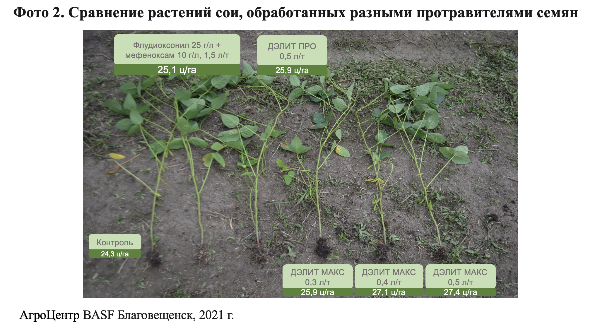 Снимок экрана 2025-02-27 в 11.51.51.png