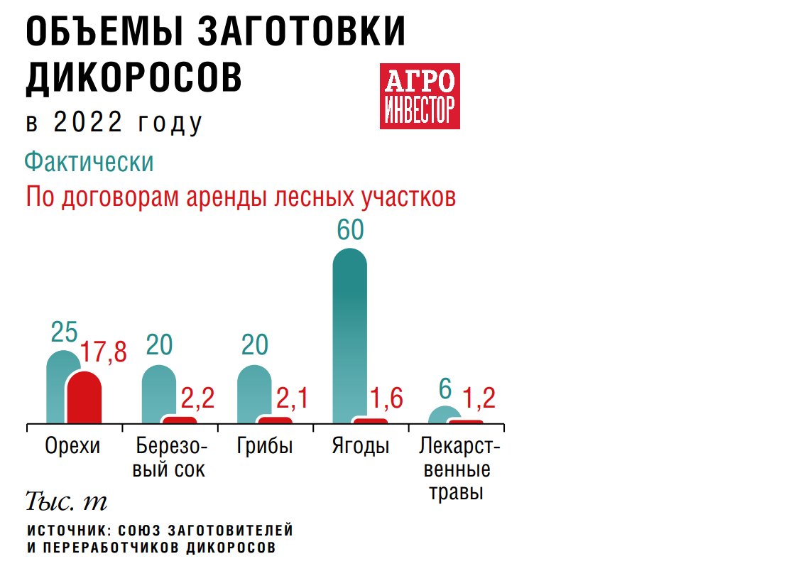 Кто соберет дары леса. Развитию рынка дикоросов могут способствовать новые  меры господдержки, но не помешало бы и изменение законодательства — Журнал  «Агроинвестор» – Агроинвестор