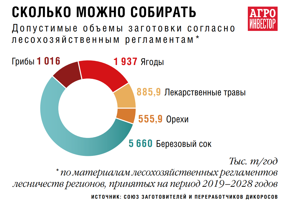 Кто соберет дары леса. Развитию рынка дикоросов могут способствовать новые  меры господдержки, но не помешало бы и изменение законодательства — Журнал  «Агроинвестор» – Агроинвестор